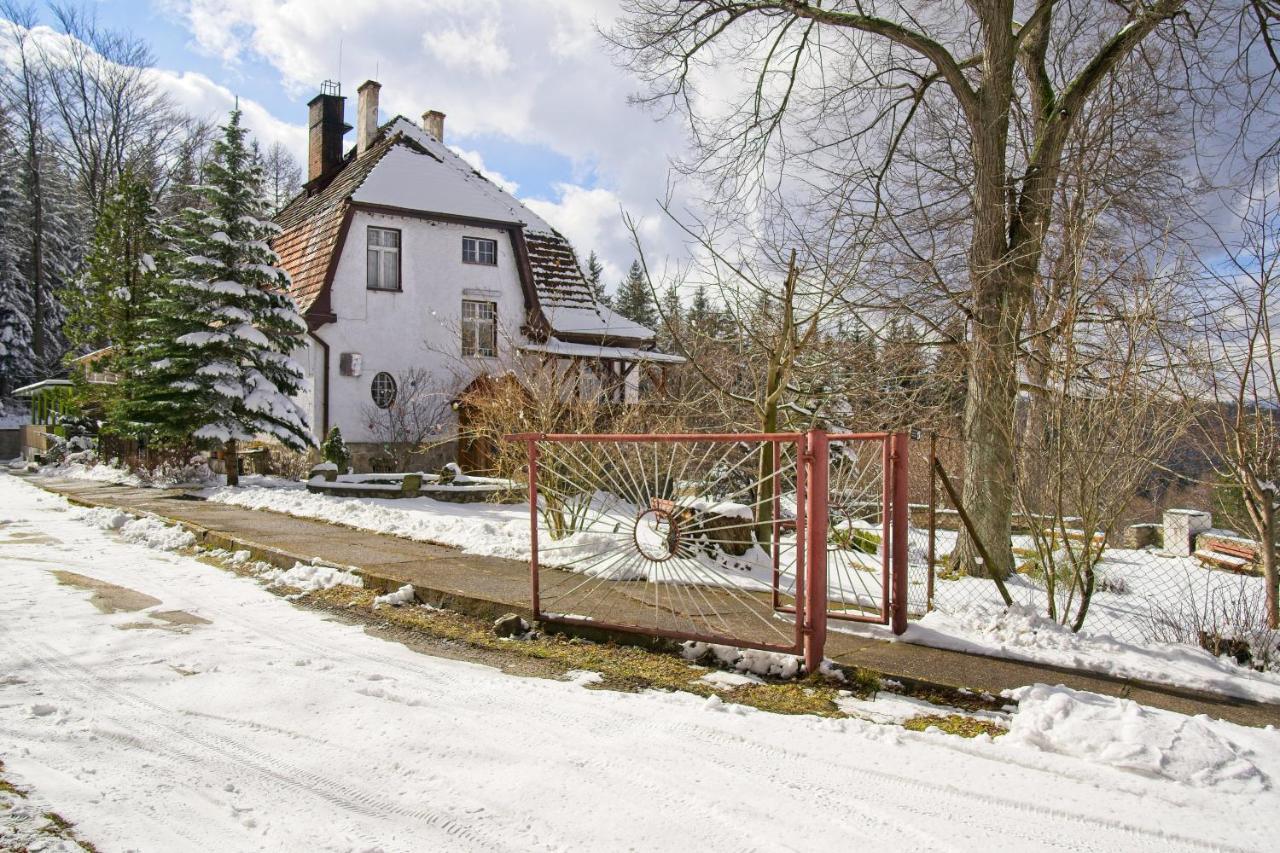 Willa "Sniezna Kopa"-Agroturystyka Pro Zdrowotna Villa Sosnówka Exterior foto