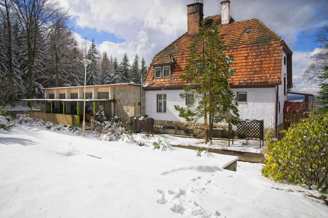 Willa "Sniezna Kopa"-Agroturystyka Pro Zdrowotna Villa Sosnówka Exterior foto