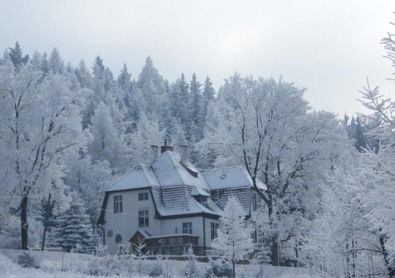 Willa "Sniezna Kopa"-Agroturystyka Pro Zdrowotna Villa Sosnówka Exterior foto